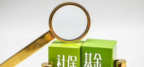 社保之重 从个体选择到社会养老责任的思考